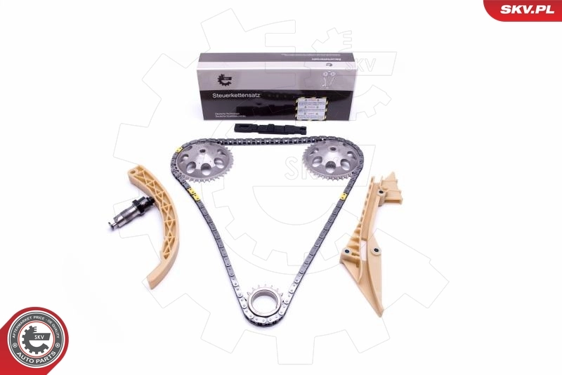 Timing Chain Kit